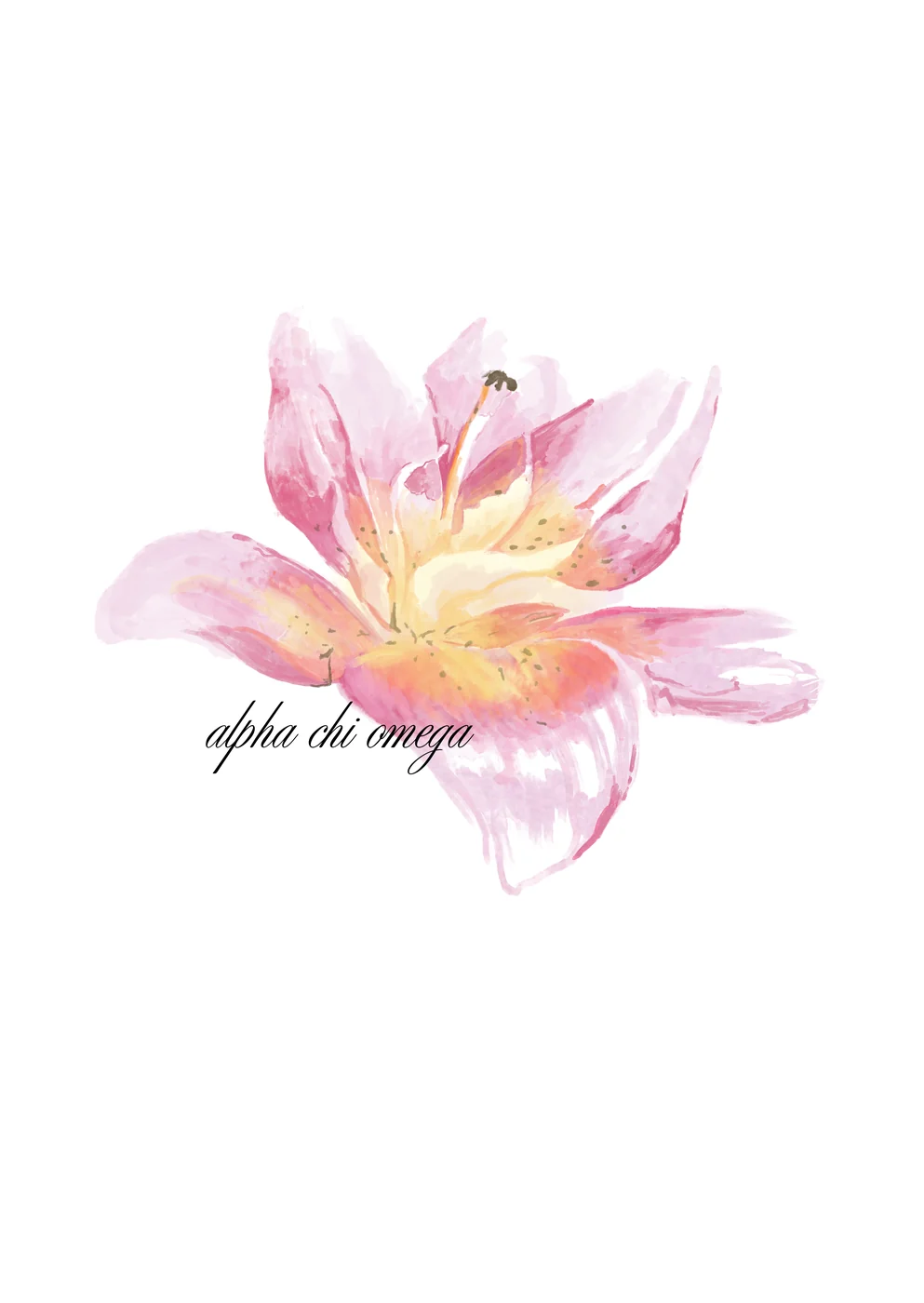 Alpha Chi Omega — Alpha Chi Omega custom apparel design inspiration