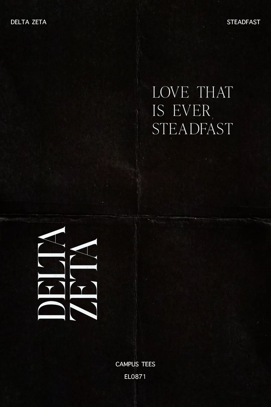 FSUDZ Steadfast — Delta Zeta custom apparel design inspiration
