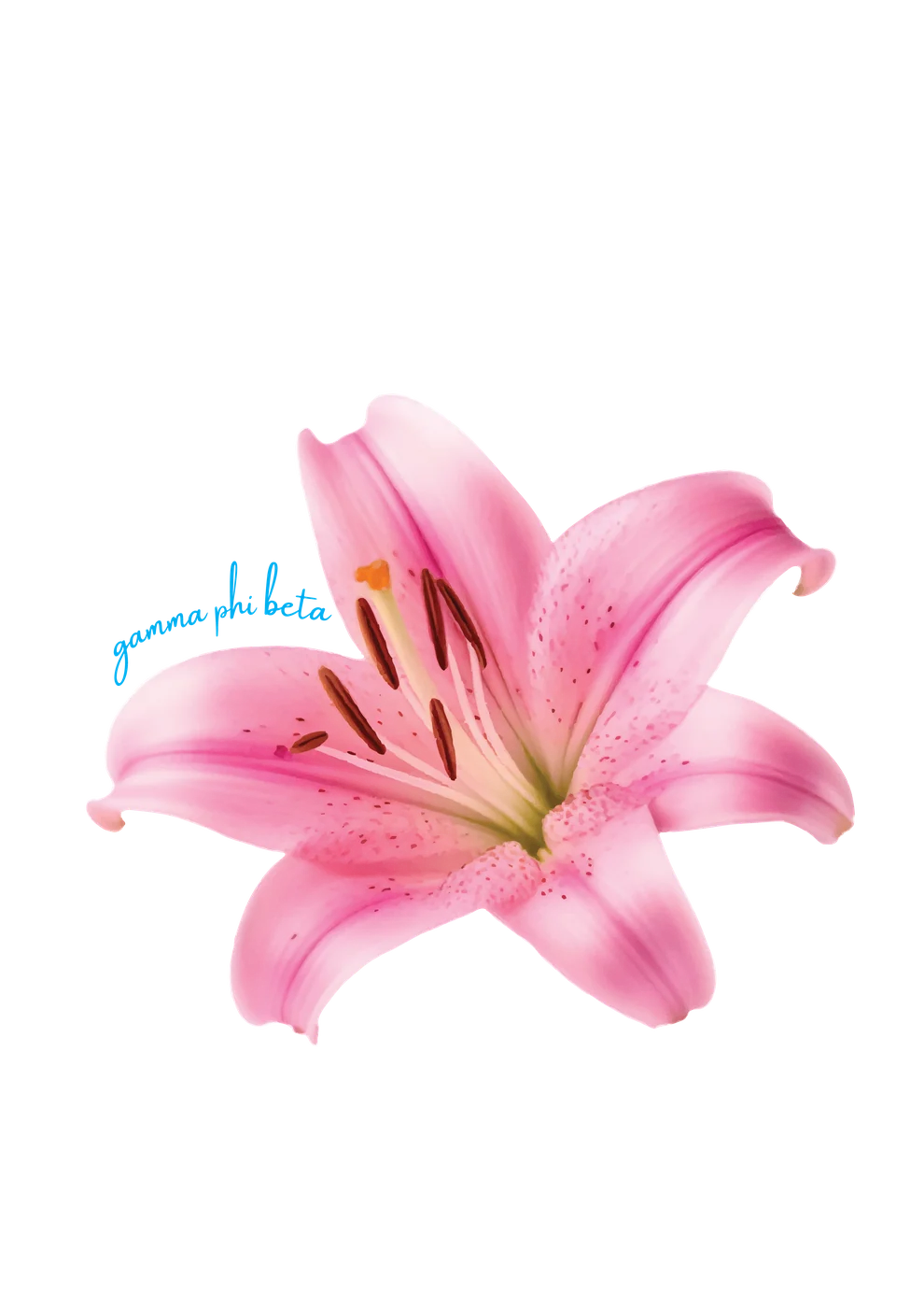 gamma phi beta Lili — Gamma Phi Beta custom apparel design inspiration