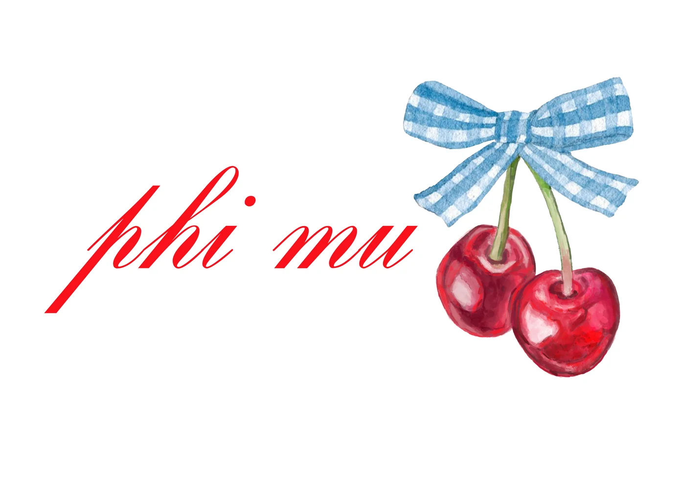 Phi Mu (REVISED) — Phi Mu custom apparel design inspiration