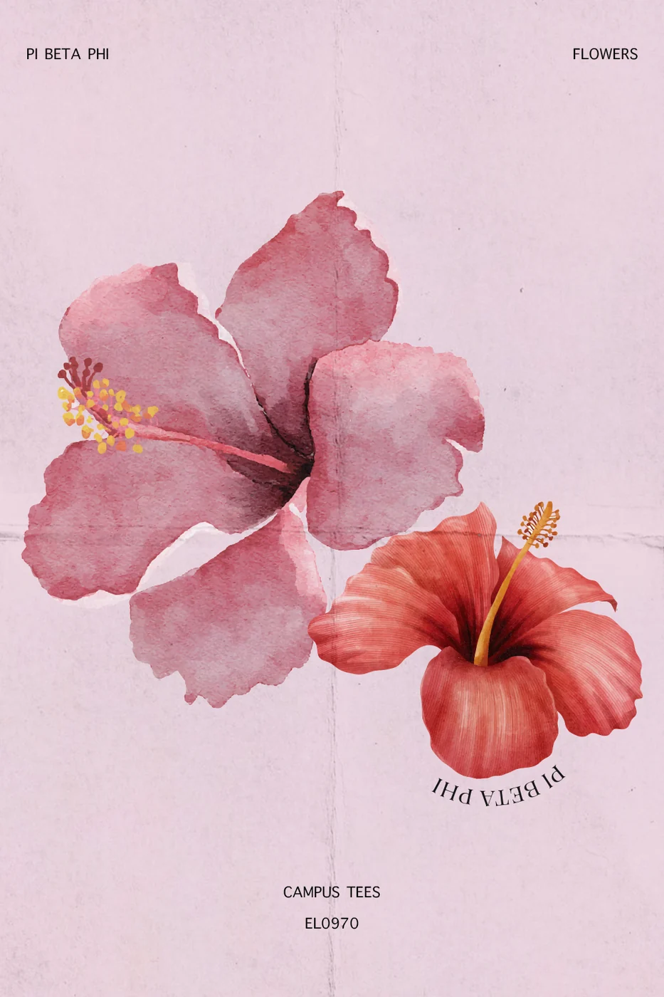 CSUPi Phi Flowers — Pi Beta Phi custom apparel design inspiration