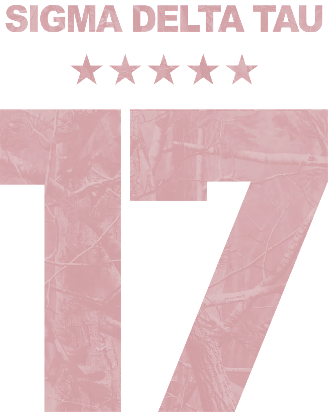 Sigma Delta Tau Pink Camo Jersey Number (REVISED) 2 — Sigma Delta Tau custom apparel design inspiration