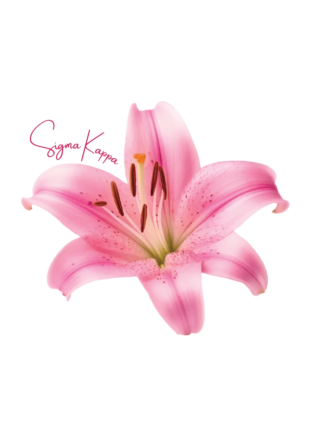 MIT Sigma Kappa Disco Garden — Sigma Kappa custom apparel design inspiration